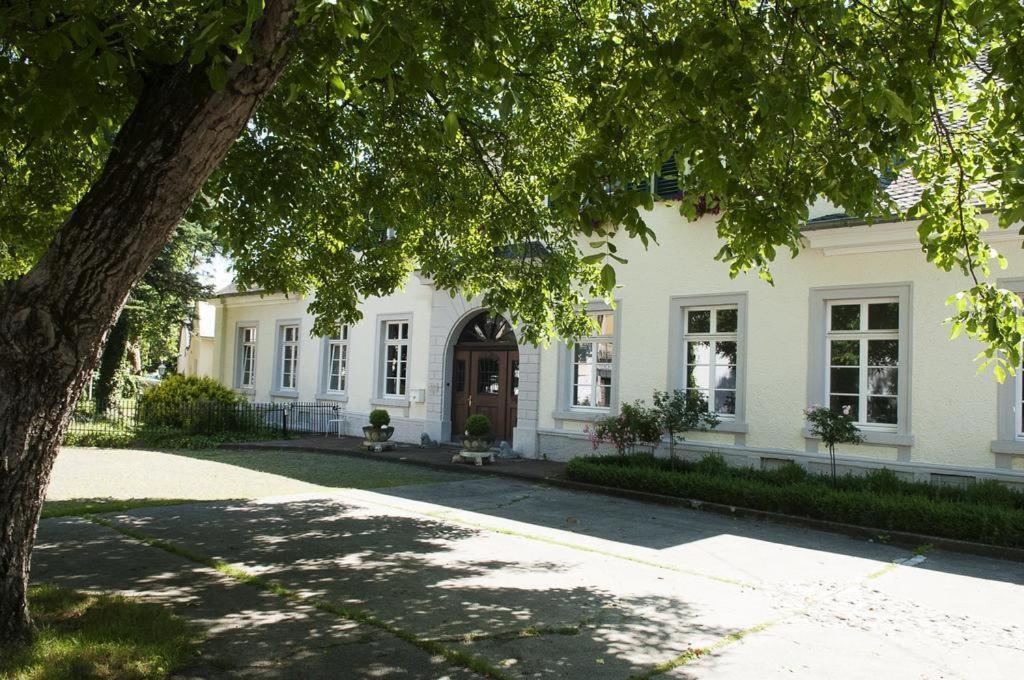 Karolingerhof - Mosel Hotel Kröv Kültér fotó